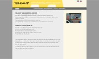 website fictief adviesbureau